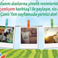 Çamlı ve Pınar Balık Hashtag'leriyle Anı Paylaşın
