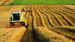 Türkiye' de Tarım Sanayi Sektörü
