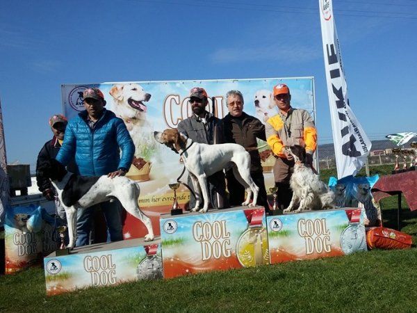 Avkif Continues to the Race Under the Sponsorship of Cool Dog