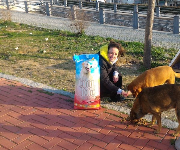 Support To Street Animals from Çamlı!