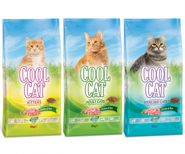 Cool Cat From Çamlı; The Right Choice For Your Cats!