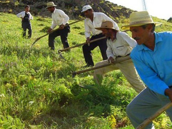 2015 Yılında Çiftçiye 10 Milyar Lira Destek Geliyor