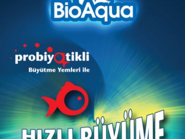 The First Fish Feed With Probiotic In Turkey