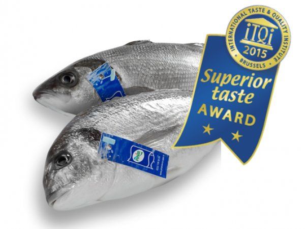 Pınar Fish Wins Int’l Superior Taste Award 2015!