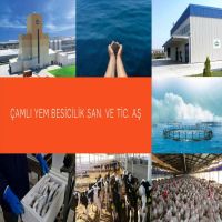Çamlı Is Announced To Be One Of The Largest 500 Companies Of Turkey!