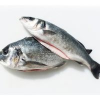 Are There Any Differences Between Sea Fish And Farm Fish In Terms Of The Omega-3 Amount?